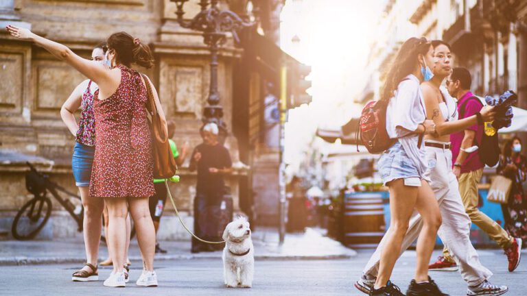 people-5594462_960_720