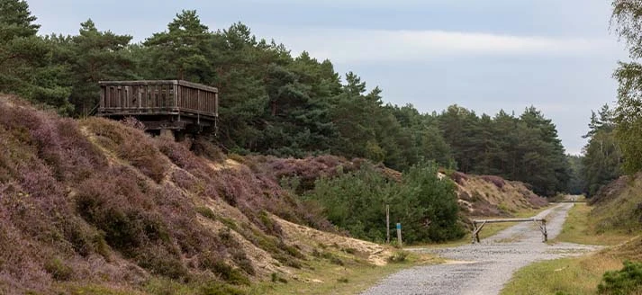 Brachterwald-1-1
